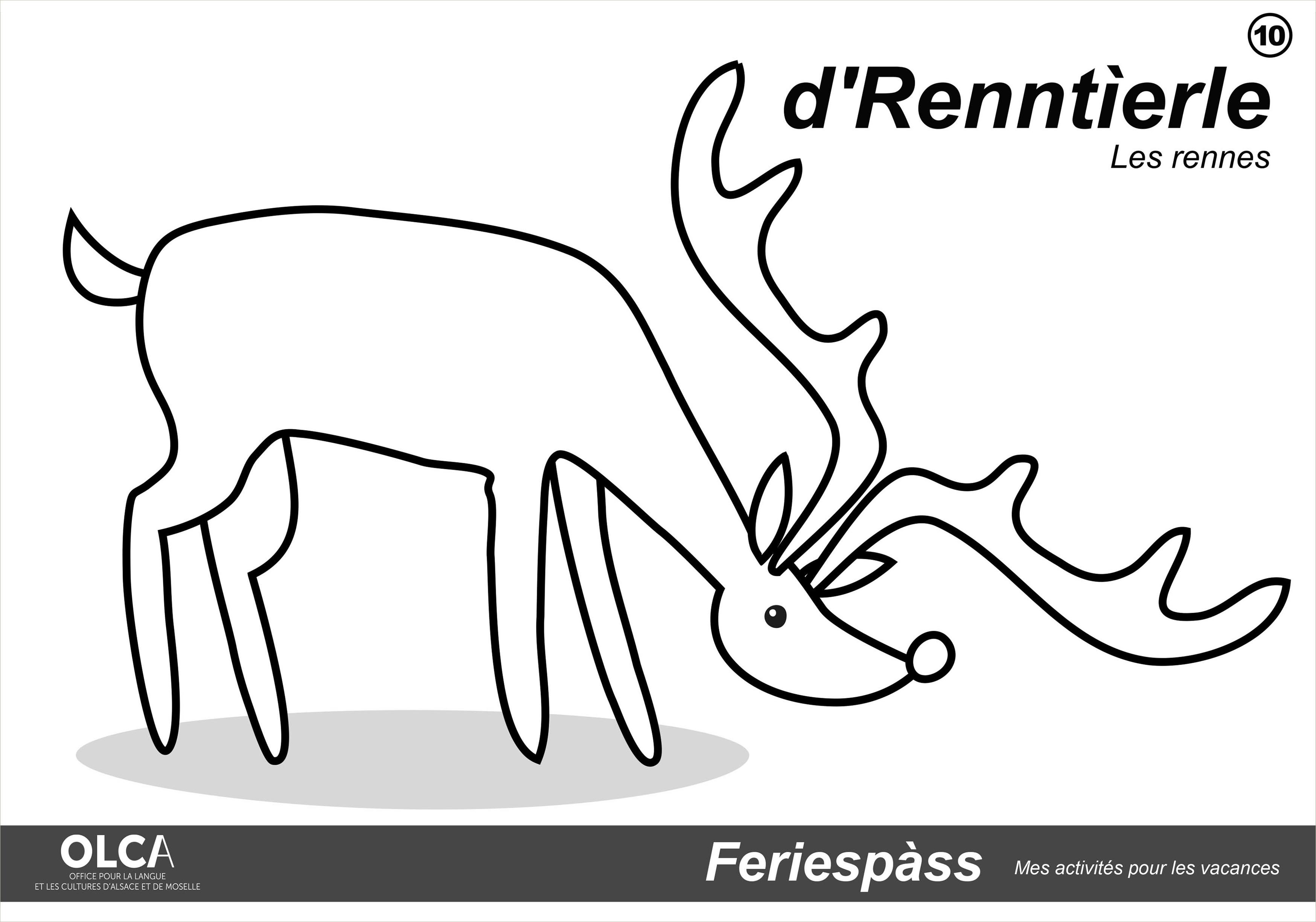 cahier d'activités en alsacien rennes
