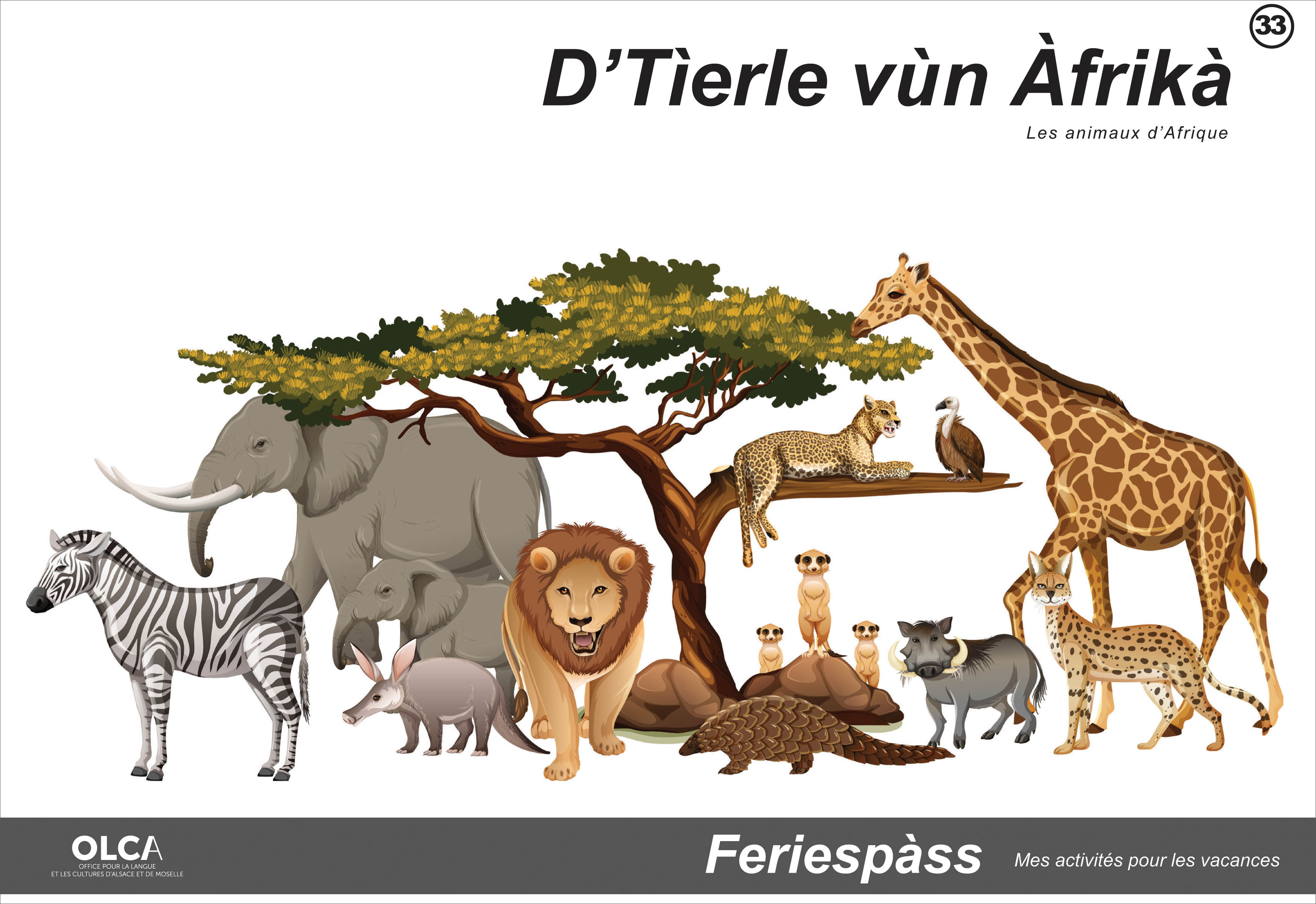 cahier d'activités en alsacien animaux d'Afrique