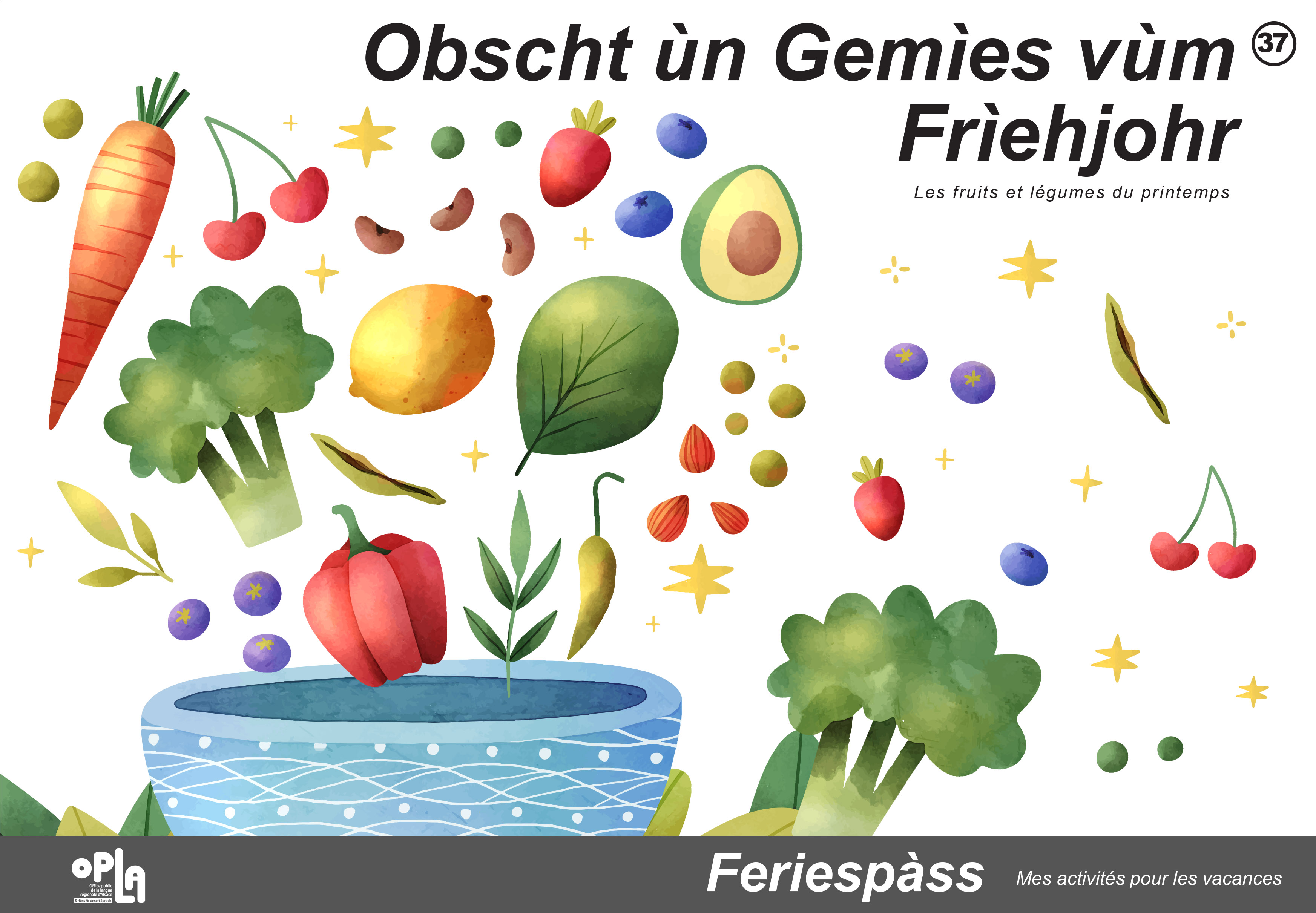 cahier d'activités en alsacien fruits et légumes du printemps